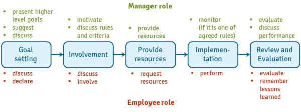 Management By Results CEOpedia Management Online